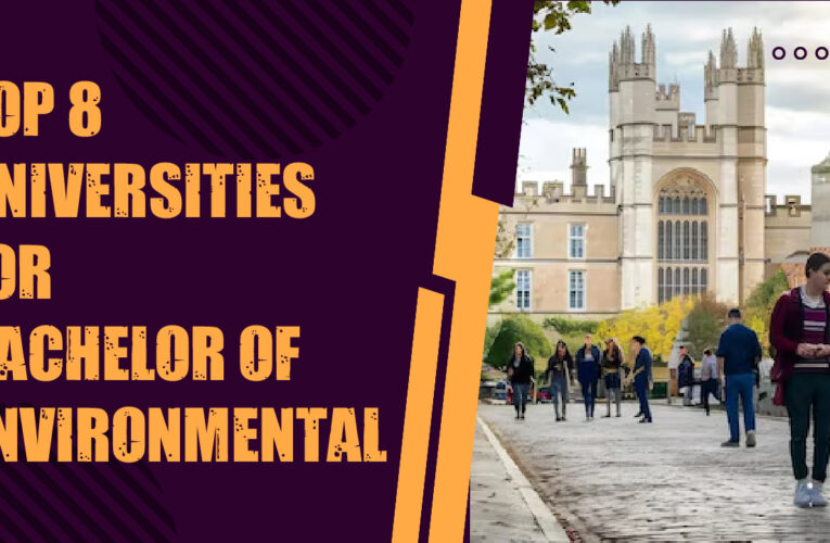 Top 8 Universities for Bachelor of Environmental Science Students in the USA